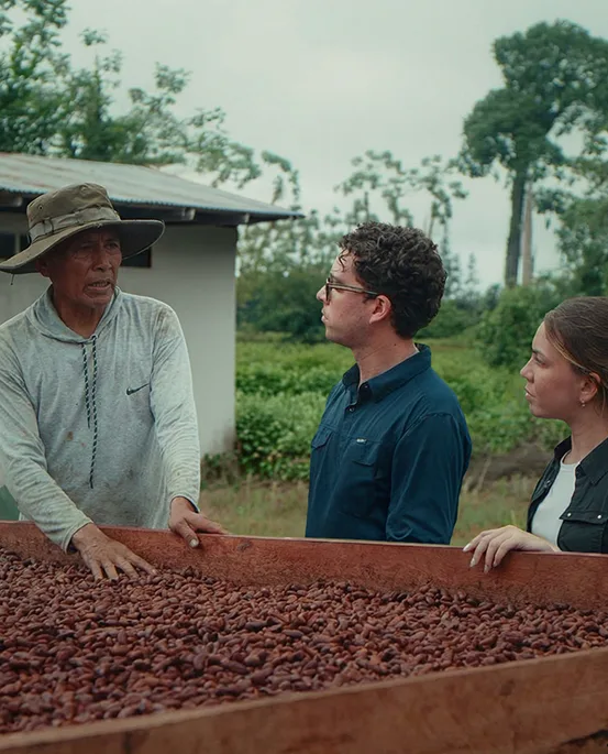 Farmers show visitors a pile of cocoa beans on a farm in a lush, tropical setting.